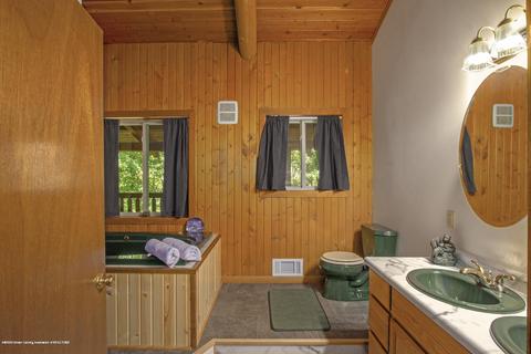 1454 Roshowa Ter, Lyons, MI 48851 photo 27