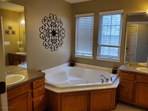 372 E Bailey Circle Cir, Mason, MI 48854 photo 6