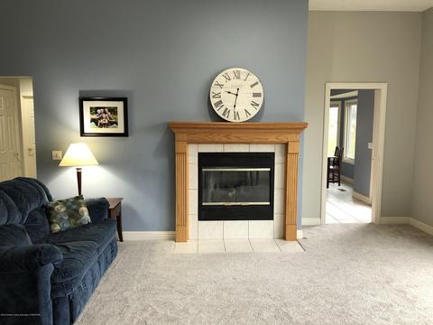 11664 Hidden Ridge Dr, Dewitt, MI 48820 photo 9