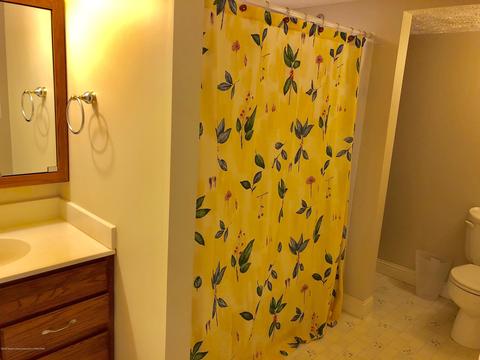 11664 Hidden Ridge Dr, Dewitt, MI 48820 photo 27