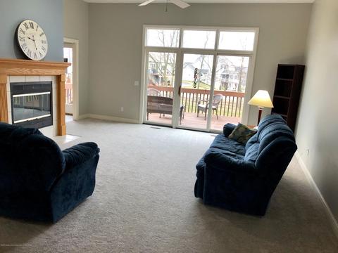 11664 Hidden Ridge Dr, Dewitt, MI 48820 photo 8