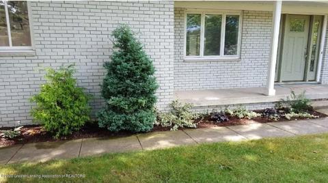 2417 Pine Tree Rd, Holt, MI 48842 photo 65