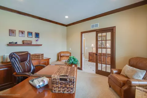 12520 Warm Creek Dr, Dewitt, MI 48820 photo 14