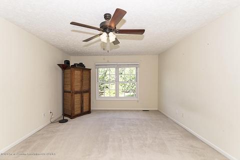13089 Primrose Ln, Dewitt, MI 48820 photo 21