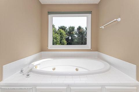 13089 Primrose Ln, Dewitt, MI 48820 photo 23