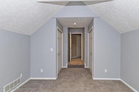 13089 Primrose Ln, Dewitt, MI 48820 photo 20