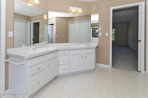 13089 Primrose Ln, Dewitt, MI 48820 photo 24