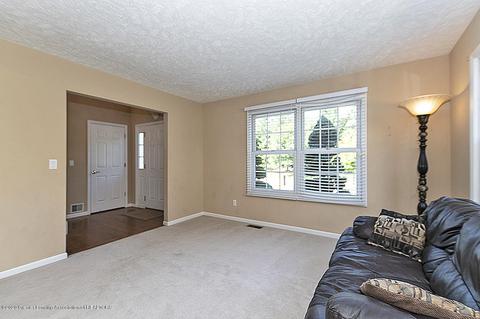 13089 Primrose Ln, Dewitt, MI 48820 photo 4