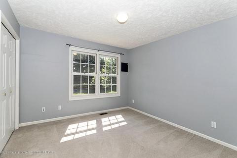 13089 Primrose Ln, Dewitt, MI 48820 photo 26