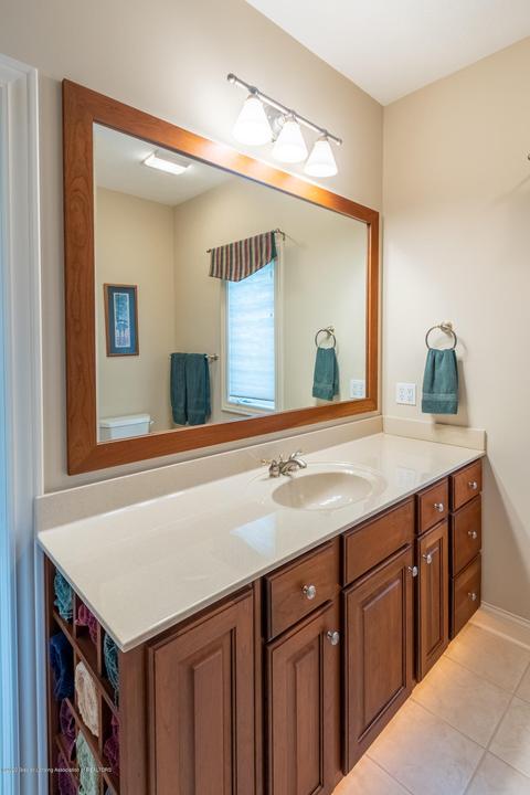 12820 Warm Creek Dr, Dewitt, MI 48820 photo 50