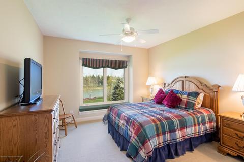 12820 Warm Creek Dr, Dewitt, MI 48820 photo 47