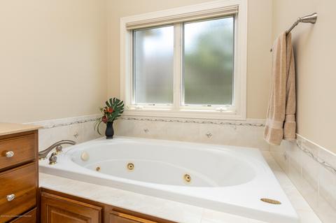 12820 Warm Creek Dr, Dewitt, MI 48820 photo 41