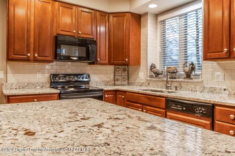 11480 Hidden Spring Trl, Dewitt, MI 48820 photo 17