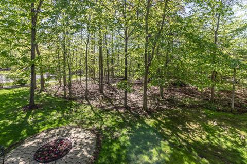 11480 Hidden Spring Trl, Dewitt, MI 48820 photo 53