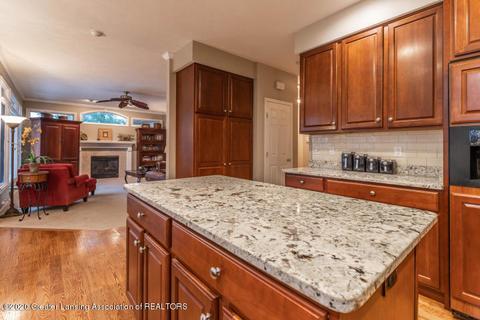 11480 Hidden Spring Trl, Dewitt, MI 48820 photo 16