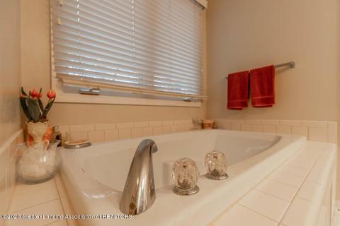 11480 Hidden Spring Trl, Dewitt, MI 48820 photo 35