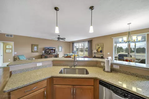 4107 Presidents Way, Dewitt, MI 48820 photo 13