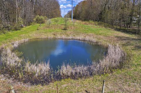248 E Newman Rd, Williamston, MI 48895 photo 55