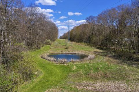 248 E Newman Rd, Williamston, MI 48895 photo 54