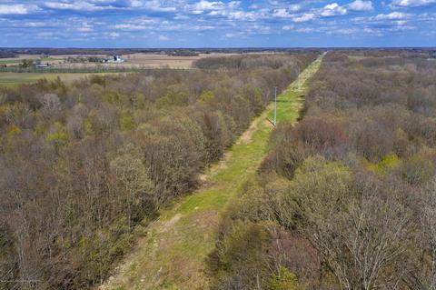 248 E Newman Rd, Williamston, MI 48895 photo 56
