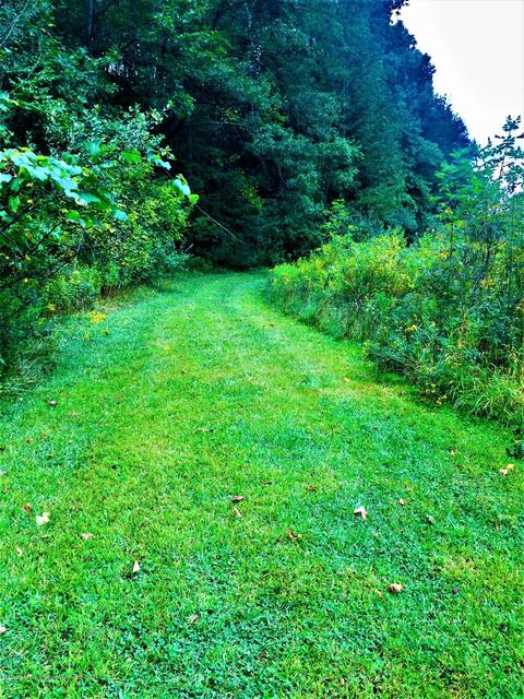 248 E Newman Rd, Williamston, MI 48895 photo 39