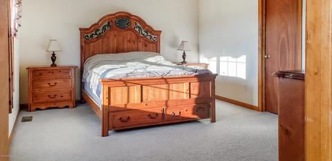 7910 S Francis Rd, Dewitt, MI 48820 photo 21
