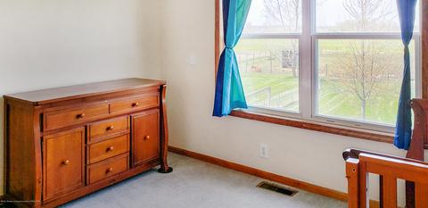 7910 S Francis Rd, Dewitt, MI 48820 photo 32