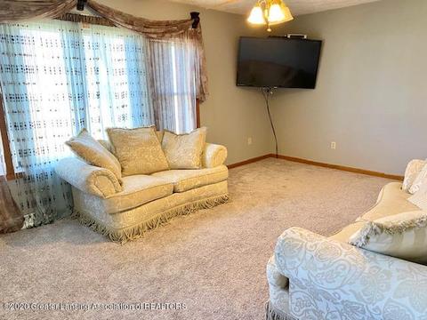 319 N Logan St, Dewitt, MI 48820 photo 3
