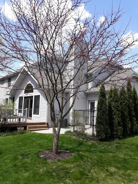3895 Camperdown Dr, Lansing, MI 48911 photo 39