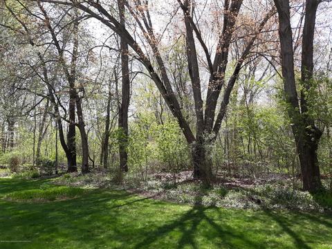 3895 Camperdown Dr, Lansing, MI 48911 photo 40
