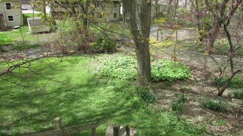 1817 Hamilton St, Holt, MI 48842 photo 13