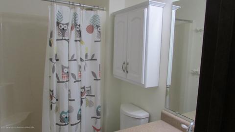 1817 Hamilton St, Holt, MI 48842 photo 23