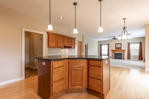 12810 Chartreuse Dr, Dewitt, MI 48820 photo 14