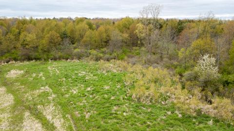13468 S Hinman Rd, Eagle, MI 48822 photo 53