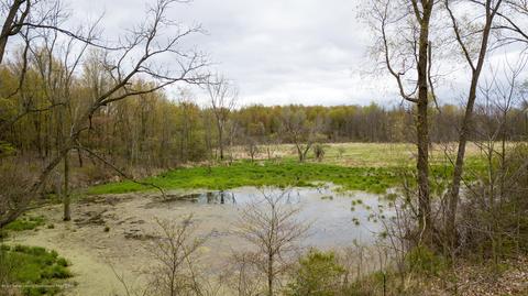 13468 S Hinman Rd, Eagle, MI 48822 photo 50