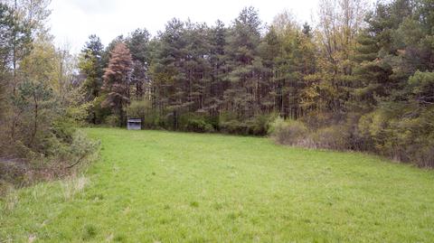 13468 S Hinman Rd, Eagle, MI 48822 photo 49