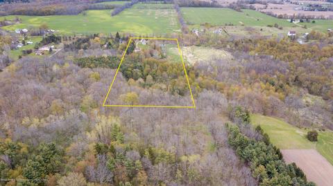 13468 S Hinman Rd, Eagle, MI 48822 photo 44