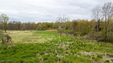 13468 S Hinman Rd, Eagle, MI 48822 photo 51