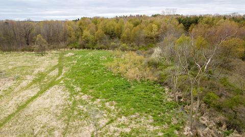 13468 S Hinman Rd, Eagle, MI 48822 photo 52