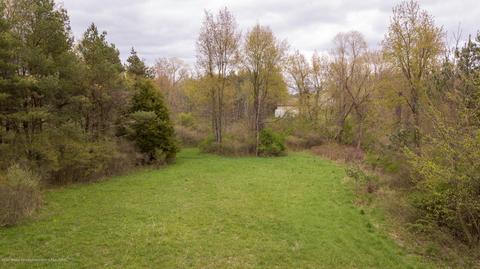 13468 S Hinman Rd, Eagle, MI 48822 photo 47