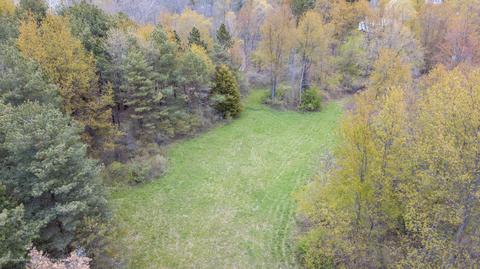 13468 S Hinman Rd, Eagle, MI 48822 photo 46