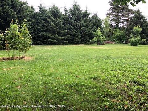 31 S Aurelius Rd, Mason, MI 48854 photo 29