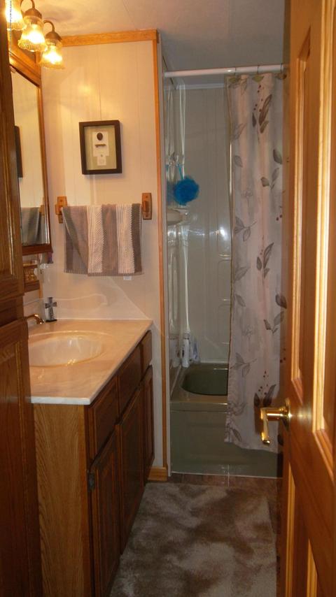 8369 E Point Dr, Lyons, MI 48851 photo 20