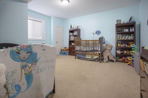 6965 Castleton Dr, Grand Ledge, MI 48837 photo 41