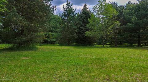 13532 Turner Rd, Dewitt, MI 48820 photo 50
