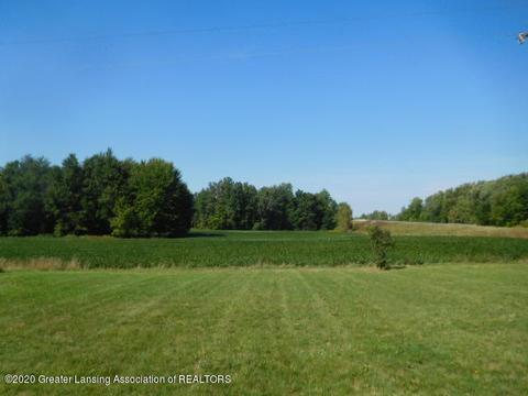 10050 Bond Rd, Dewitt, MI 48820 photo 13