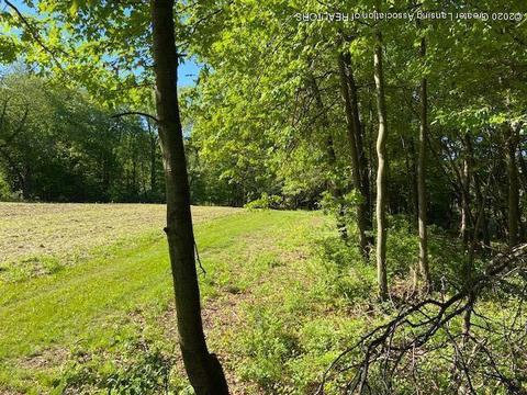 6313 E Clark Rd, Bath, MI 48808 photo 45
