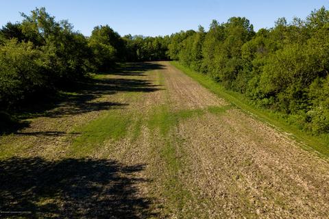 6313 E Clark Rd, Bath, MI 48808 photo 17