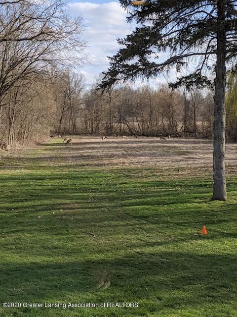 6313 E Clark Rd, Bath, MI 48808 photo 46
