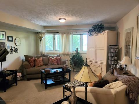 1322 Brookside Dr, Lansing, MI 48917 photo 29